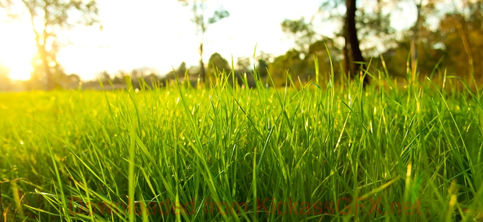 免费ddos攻击网页端