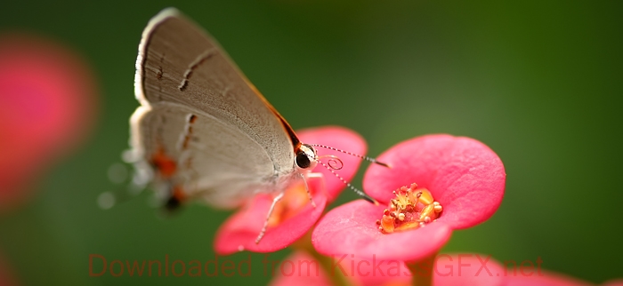 无需等待加载的ddos压力测试平台